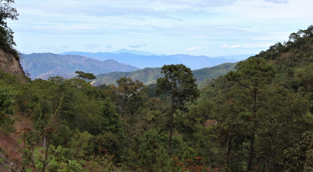 DECLARAN A LA SIERRA DE VALLEJO RÍO AMECA COMO ÁREA NATURAL PROTEGIDA