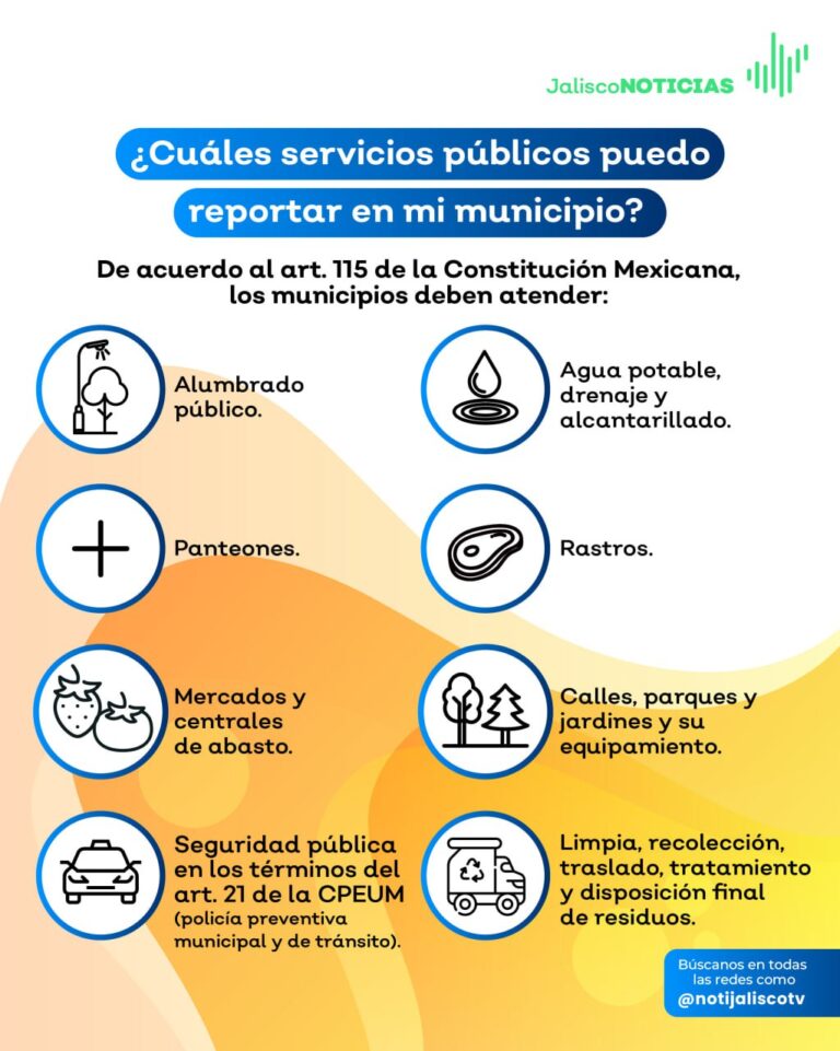 ¿cuÁles Servicios PÚblicos Puedo Reportar En Mi Municipio Jalisco Noticiasemk 1072