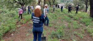 AFINA LEMUS DETALLES DE PROYECTO PARA TRATAR DESAPARICIONES