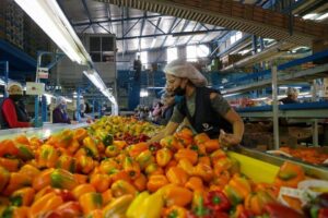 ENRIQUE ALFARO SE SOLIDARIZA CON TRABAJADORES DEL CAMPO JALISCIENSES
