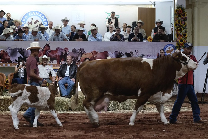 ARRANCA LA EXPO GANADERA 2023