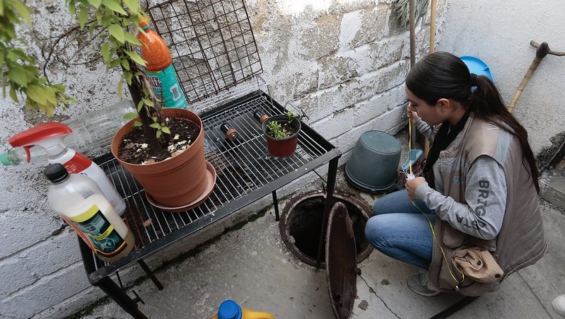 COORDINAN ACCIONES CONTRA EL DENGUE EN JALISCO ANTE AUMENTO DE CASOS