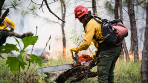 SEMADET REFUERZA LA PREVENCIÓN FÍSICA DE INCENDIOS FORESTALES EN JALISCO