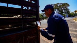 REFUERZA JALISCO MEDIDAS POR PRESENCIA DEL GUSANO BARRENADOR DEL GANADO